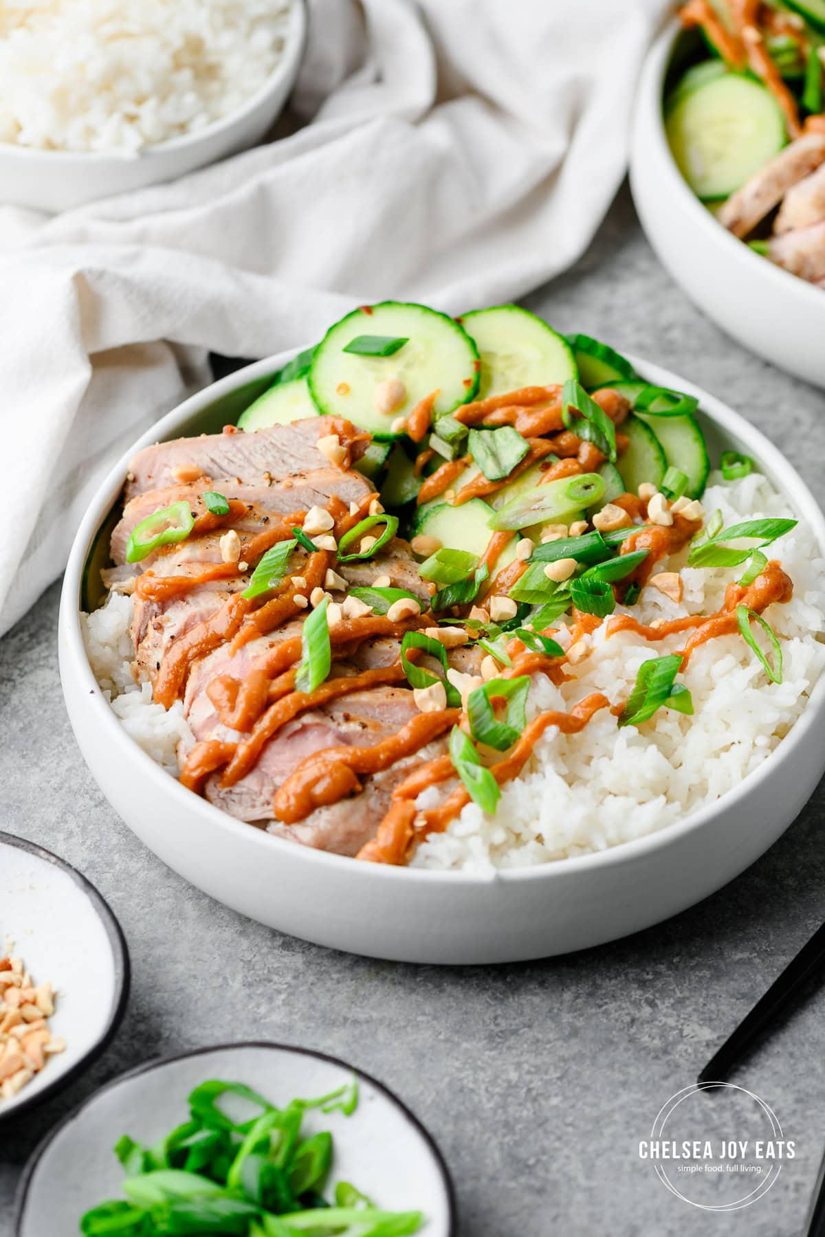 Bowl filled with cucumber, sliced pork chops, and rice, drizzled with peanut sauce and topped with scallions and peanuts.