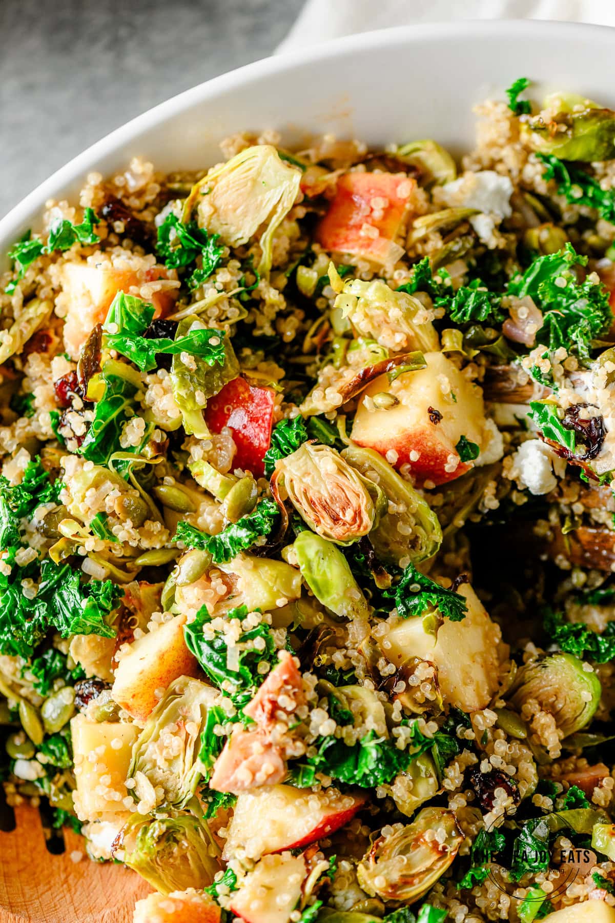 Closeup of Roasted brussels sprouts and quinoa salad with apples, goat cheese, and kale
