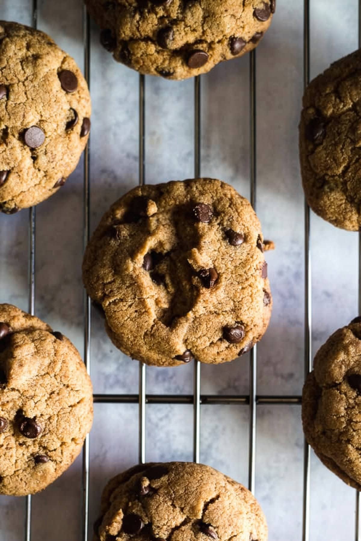 Baked gluten free tahini chocolate chip cookies cooling on a wire rack.